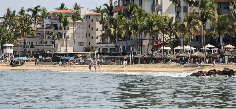 Mazatlan: Sea lions and snorkeling - Exciting Sea Lion Watching and Snorkeling Adventure in Mazatlan