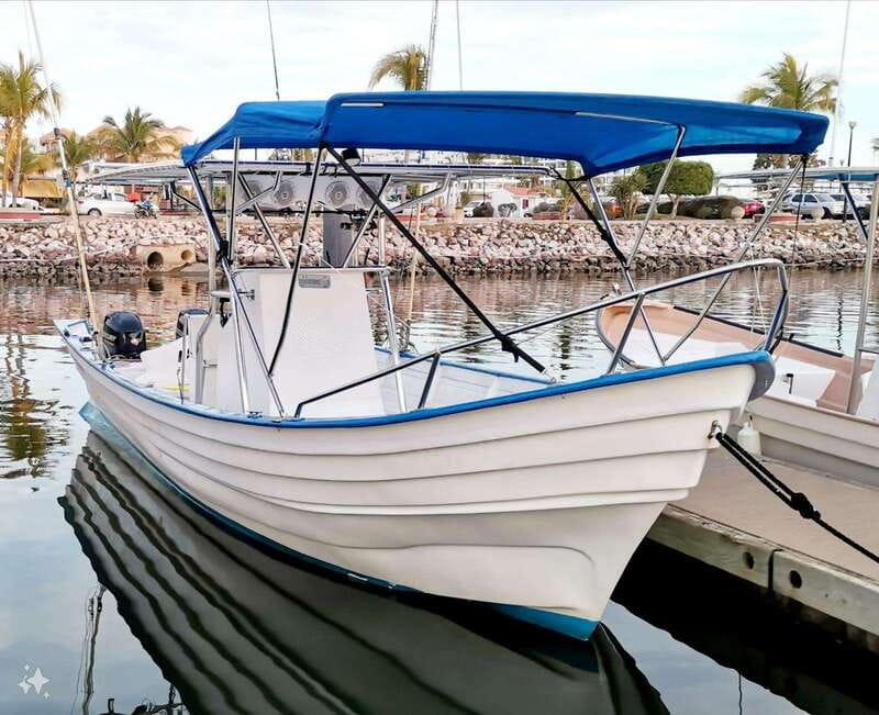 Mazatlan: Sea lions and snorkeling - Exploring the Marine Islands and Sea Lion Sightings