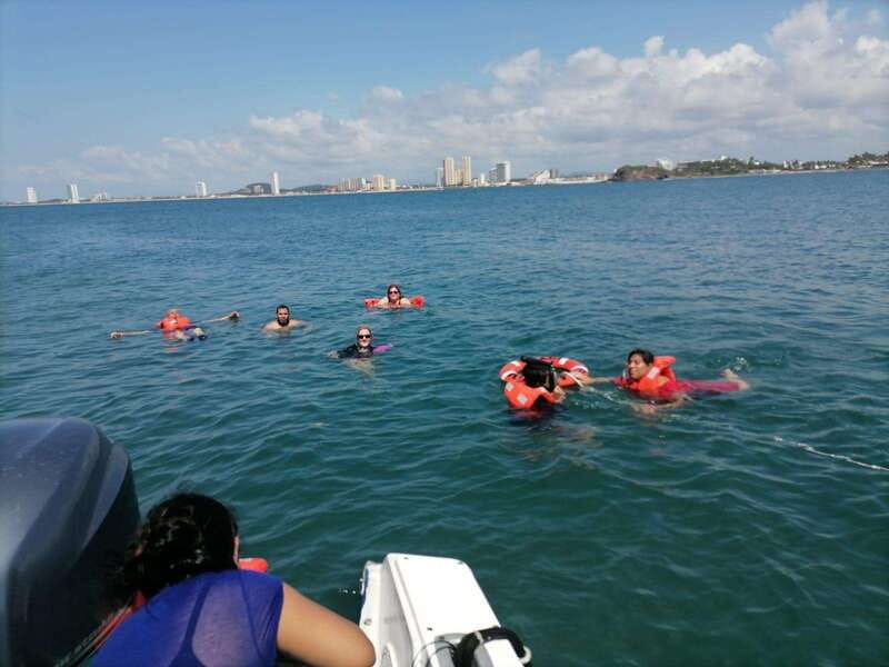 Mazatlan: Sea lions and snorkeling - Snorkeling at Deer Islands with Included Equipment