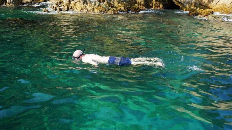 Mazatlan: Sea lions and snorkeling - Why This Tour Appeals Most to Active Wildlife and Water Enthusiasts