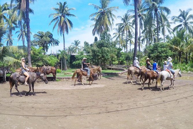 Mazatlan Sightseeing and Beach All Inclusive - Key Points