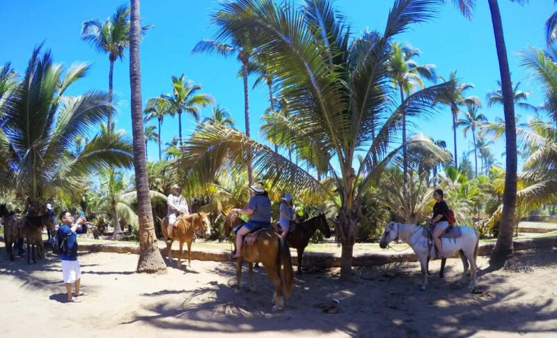 Mazatlan: Sightseeing and Beach All-Inclusive Tour - Who Will Find This Tour Most Attractive?