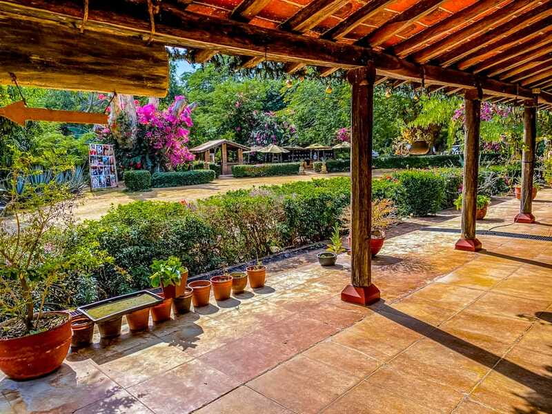 Mazatlán: Tequila Factory & Country Sightseeing - Authentic Mexican Tasting Experiences