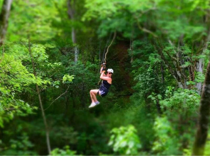 Mazatlán: Zipline Adventure & Distillery Tour with Pickup - Key Points