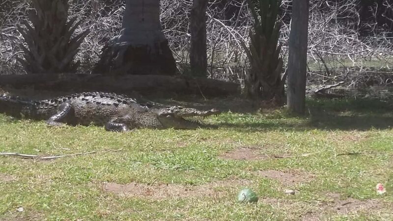 Mazunte-Ventanilla and Zipolite Ecotour - Key Points