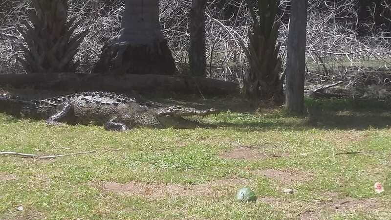 Mazunte-Ventanilla and Zipolite Ecotour - Lunch Break and Regional Flavors at Puerto Angel