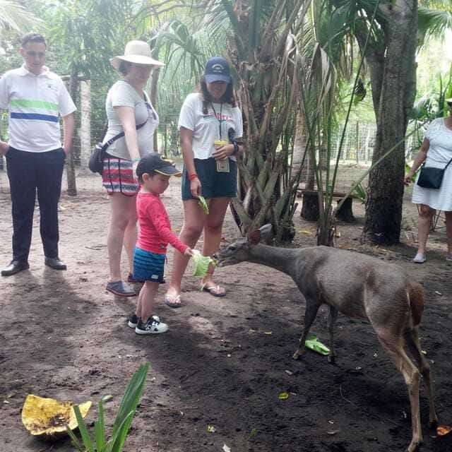 Mazunte-Ventanilla and Zipolite Ecotour - Sunset at Punta Cometa