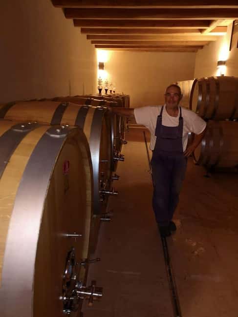 Mazzurega: Winery Tour with Tasting and Food Pairing - Small Group Experience and Multilingual Guides