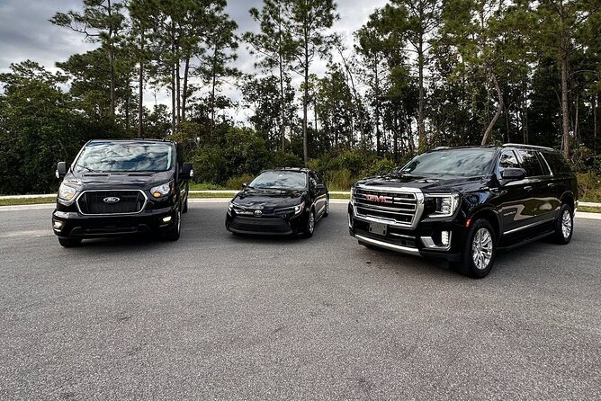 MCO To Orlando and Lake Buena Vista Area Hotels - Why Choose This Transfer Over Other Options?