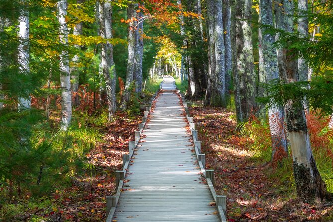 MDI Private Discovery Tour - Explore Beyond Acadia (five hours) - Exploring the Hidden Landscapes of Mount Desert Island