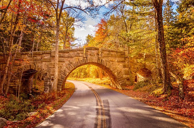 MDI Private Discovery Tour - Explore Beyond Acadia (five hours) - Who Will Appreciate This Tour?