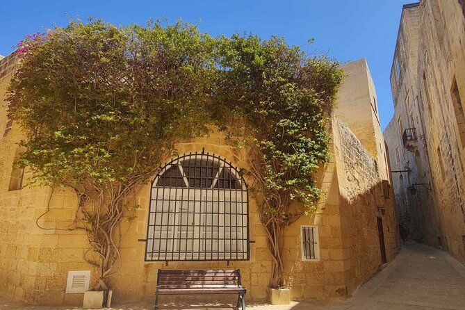 Mdina and Rabat Tour with a local licensed guide - The Guide and Personalization