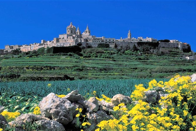 Mdina, Dingli cliffs and San Anton Gardens guided tour - Who Should Consider This Tour?