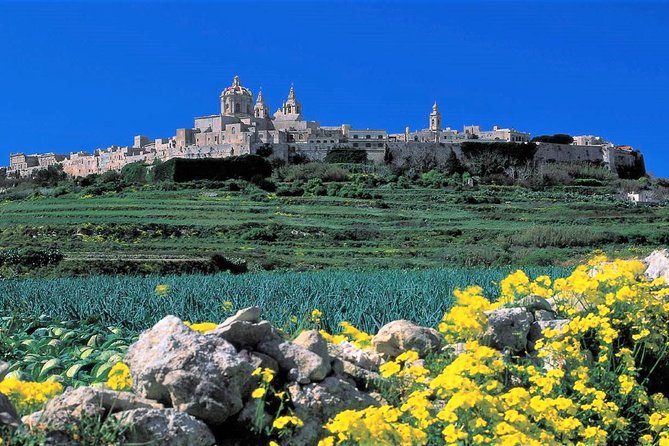 Mdina, Rabat, Dingli cliffs, San Anton gardens, Ta' Qali & Mosta guided tour - Key Points