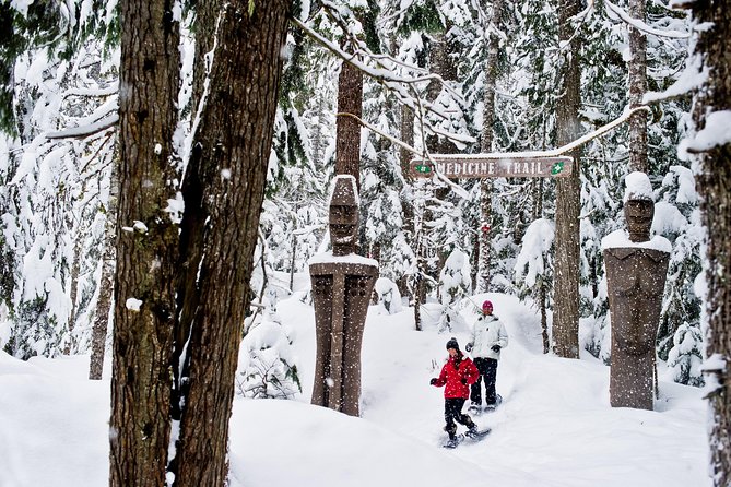 Medicine Trail Snowshoe Tour - Key Points