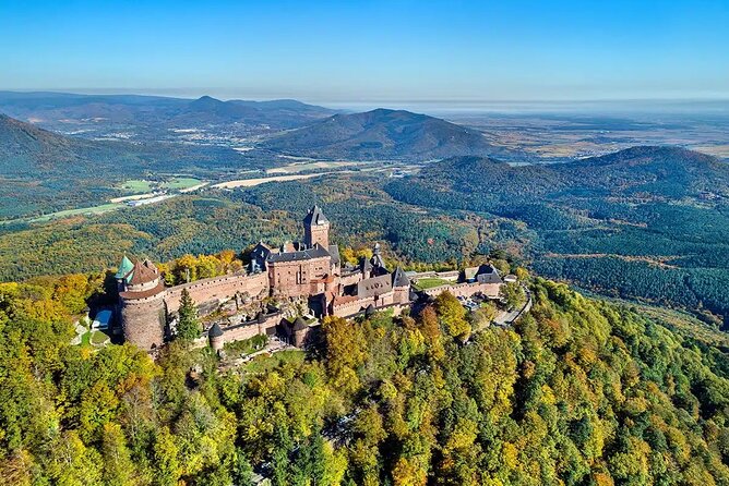 Medieval Alsace and Wine Tasting from Colmar - Riquewihr: The Medieval Village with Time for Lunch