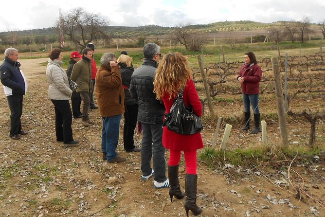 Medieval Castles, Wineries Experience with Tasting from Madrid - Flexibility and Booking Details