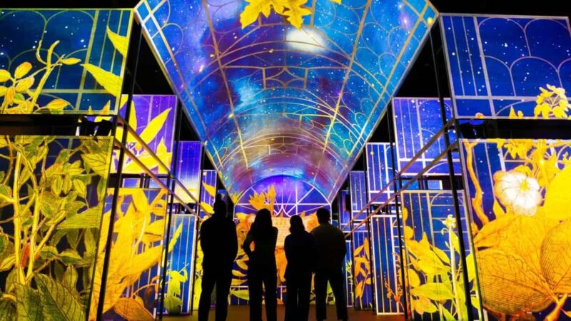 Medieval Dublin Castle.Book of Kell's & Trinity Library Tour - Key Points