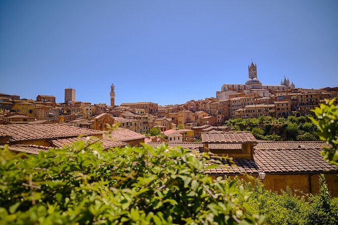 Medieval Gems of Tuscany: Siena, San Gimignano and Monteriggioni - Guided Tour of Siena’s Historic Center