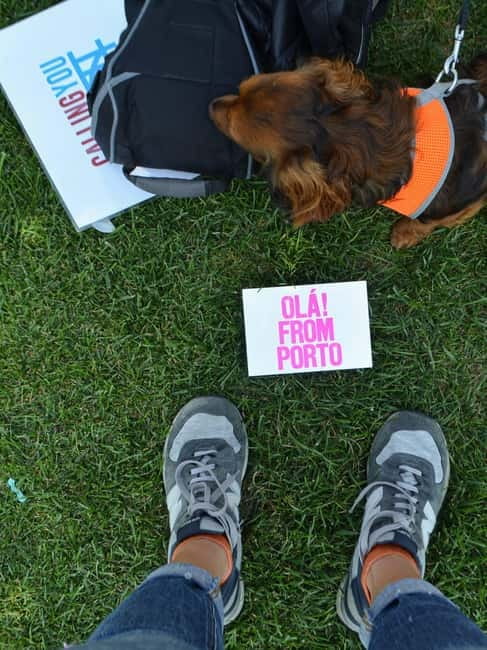 Medieval Porto - Why This Tour Stands Out in Porto’s Tour Landscape