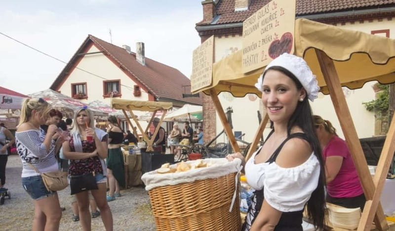Medieval Show & Dinner, Castle & Brewery tour, Hotel pickup - Comfortable Transportation from Prague