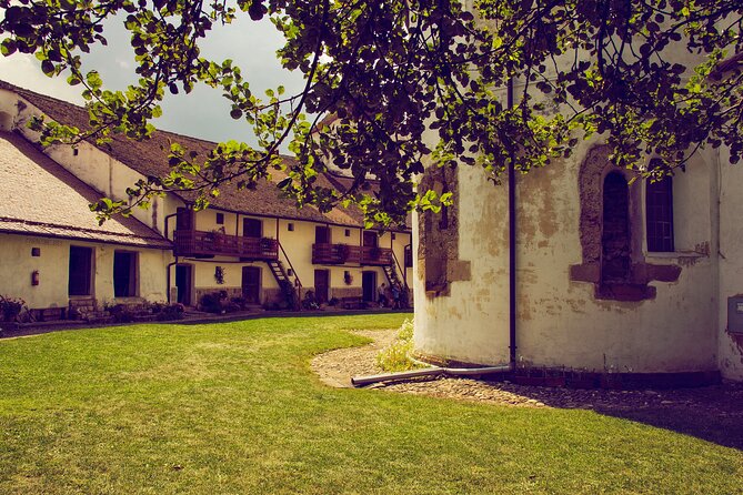 Medieval Transylvania Full-Day Private Tour from Brasov - Exploring Rasnov Citadel and Its Panoramic Views