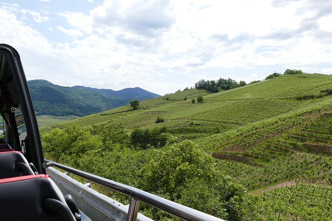 Medieval Villages and Wine Tasting from Strasbourg - Lunch Break in Riquewihr, the Heart of the Vineyard