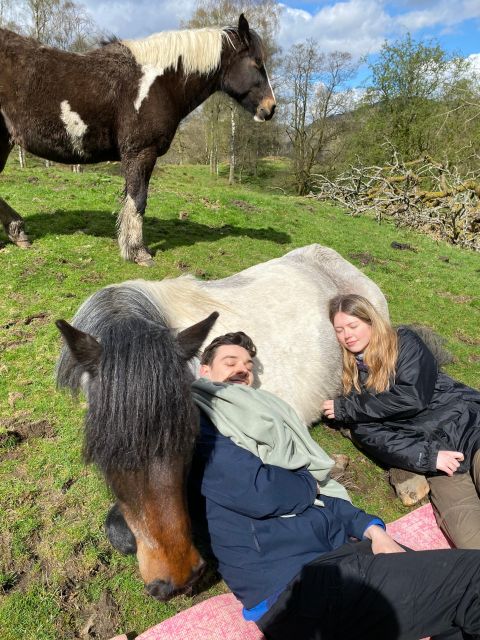 Meditate With Horses - The Safety and Preparation Briefing