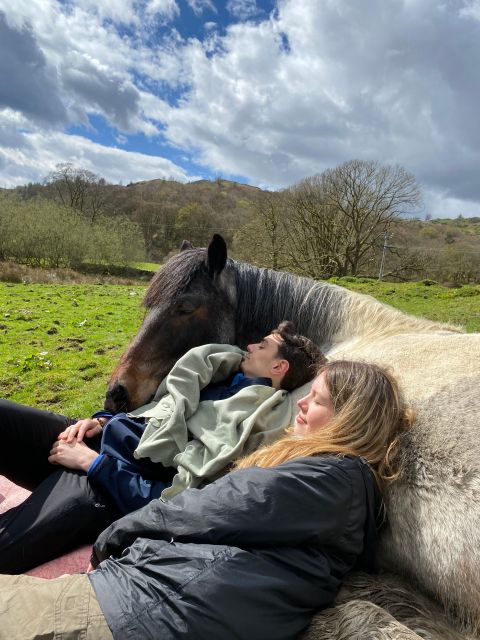 Meditate With Horses - The Morning Light and Mindfulness Practice