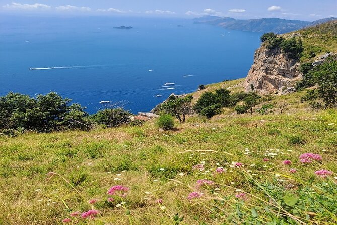 Mediterranean Dinner in Positano at Nonna Colomba's Cellar - Comparing to Similar Experiences