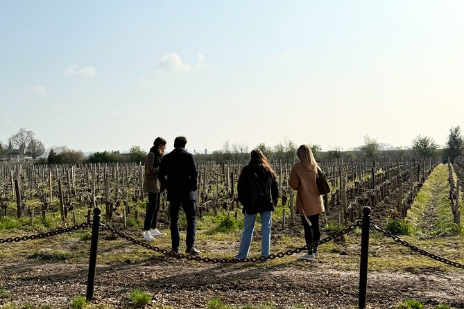 Medoc 1855 Individual Full Day Wine Tour - Photo Stops at Bordeaux’s Iconic Châteaues