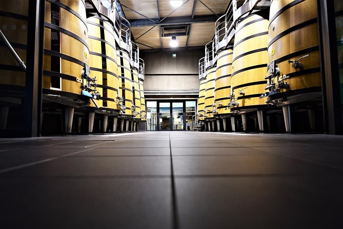 Medoc Afternoon Wine Tour - 2 Wineries, tastings & delicacies - Final Tasting at a Cru Bourgeois Winery with Local Nibbles