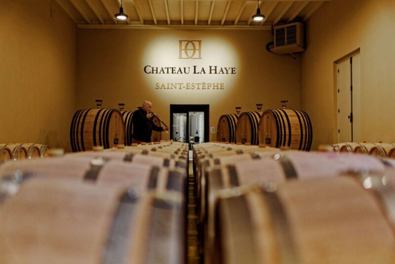 Medoc Tour : Margaux, Saint Estèphe and greediness - Explore the Medoc Region: Margaux, Saint Estèphe, and Beyond