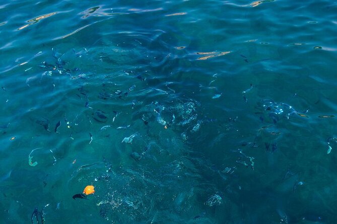 Medulin: Glass Boat Tour Experience to Kamenjak - Drinks, Music, and Comfort Onboard