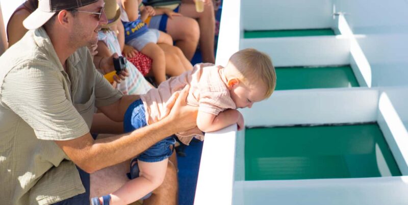 Medulin: Glass Boat Tour Experience to Kamenjak - Final Thoughts on the Medulin Glass Boat Experience