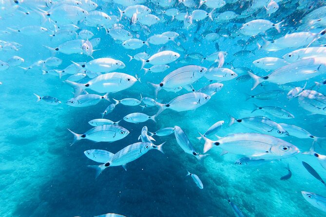 Medulin -Kamenjak 5h boat trip with lunch & drinks on Sandra Boat - The Scenic Return to Medulin