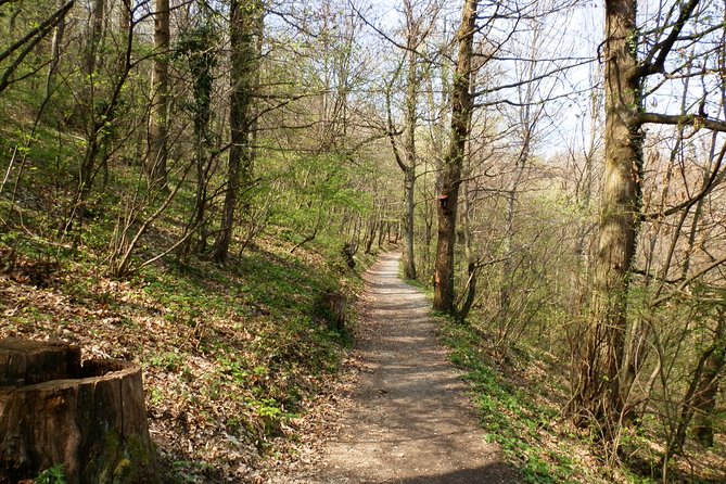 Medvednica Hiking and Chestnuts Picking Tour from Zagreb - Explore the Nature Near Zagreb with the Medvednica Hiking and Chestnuts Picking Tour