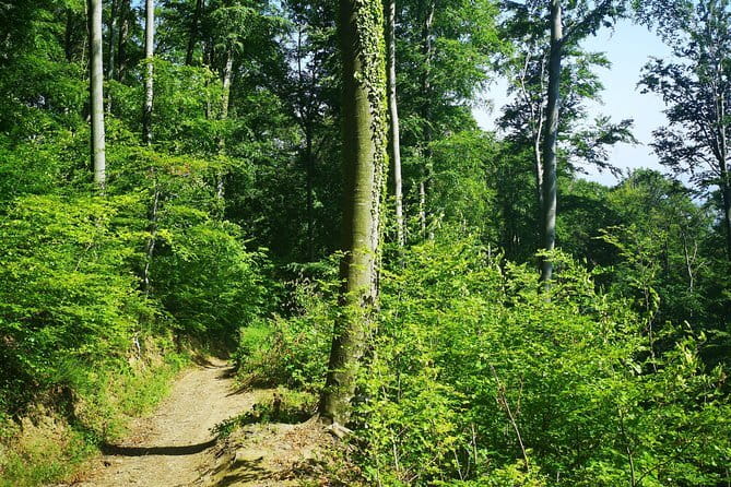 Medvednica Hiking and Chestnuts Picking Tour from Zagreb - Practical Tips for the Tour