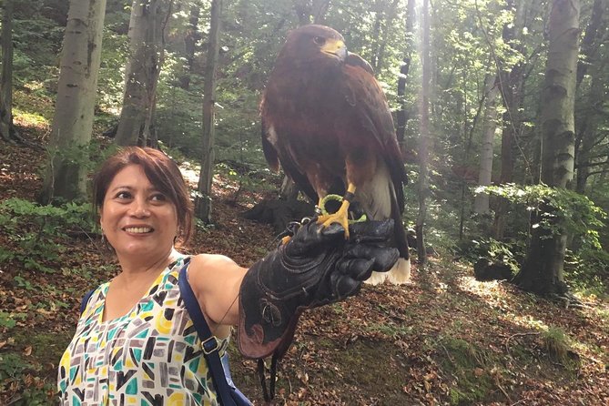 Medvednica Nature Park Falconry Tour from Zagreb - An Authentic Falconry Experience Paired with Medieval History in Zagreb