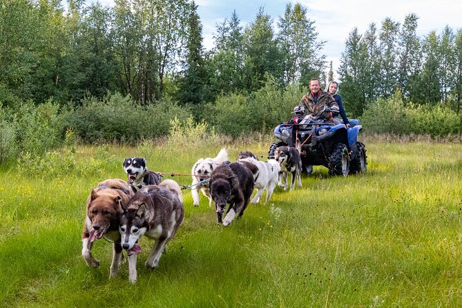 Meet 70 Huskies and Enjoy a short ATV Tour with the Huskies - Key Points