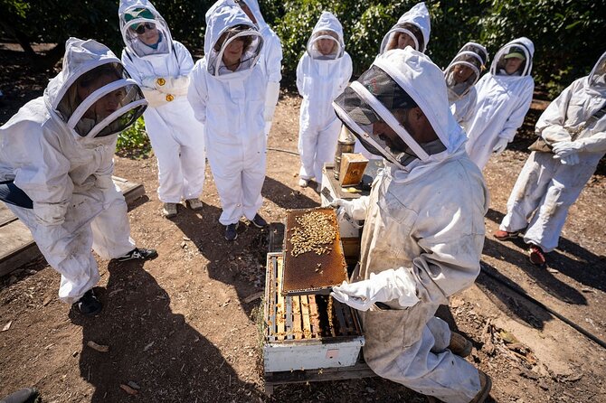Meet the Bees Guided Apiary Tour and Honey Tasting - Key Points