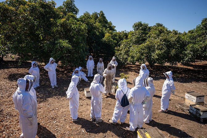 Meet the Bees Guided Apiary Tour and Honey Tasting - The Expertise of Guide Steve