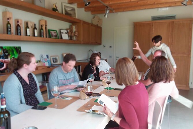 Meet the king of the territory: Brunello di Montalcino - Practical Tips and Limitations