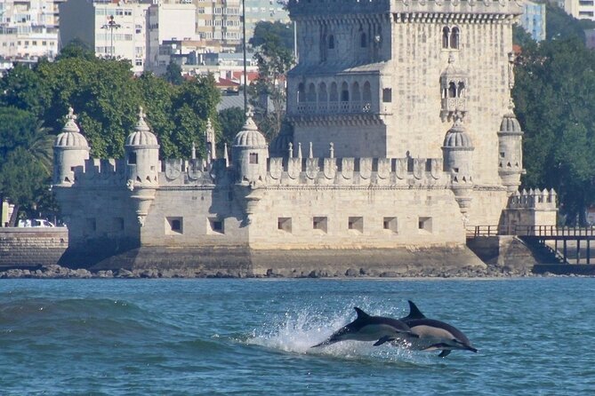 Meet the Lisbon Dolphins - Dolphin Watching in Lisbon - Practical Tips for a Comfortable Trip