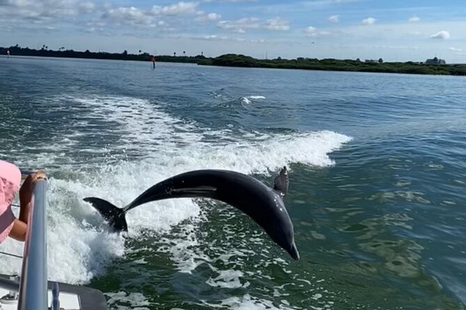 Mega Bite Dolphin Tour Boat in Clearwater Beach - Landmarks and Celebrity Homes Visible from the Water