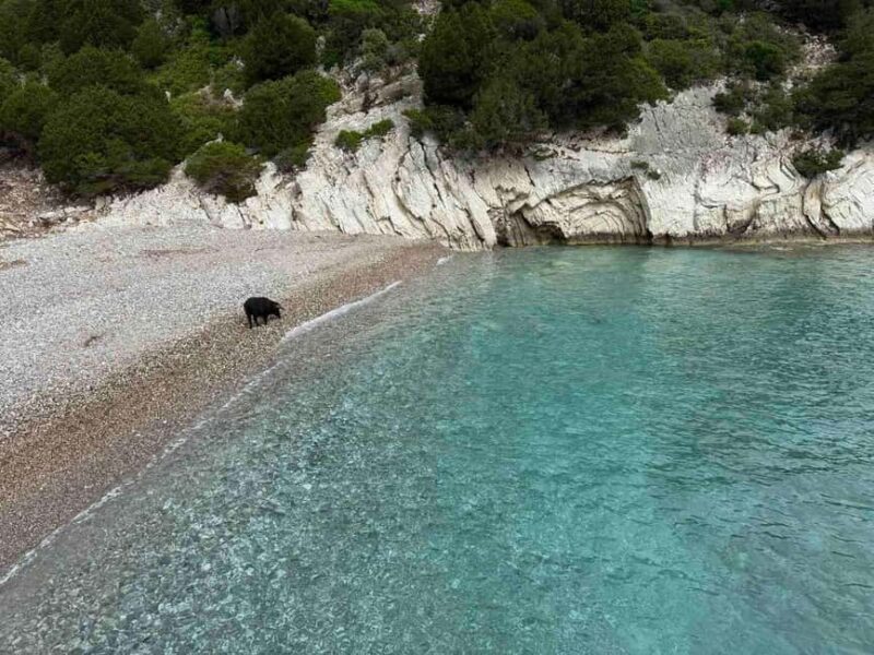 Meganisi & Atokos Island Cruise - Swimming with Piggies at Piggy Beach
