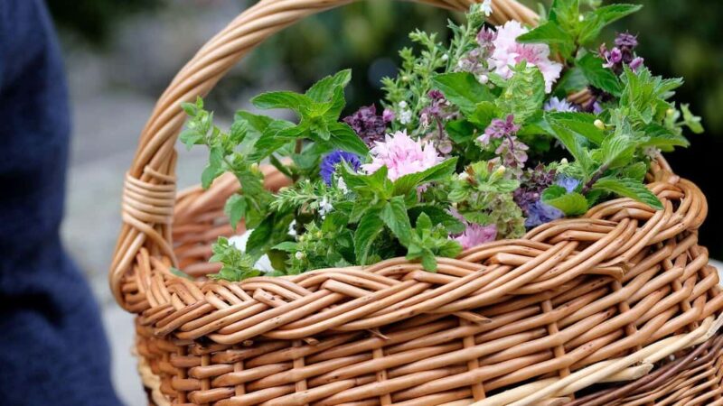 Meißen: Guided Walking Tour 'Romantic Evening Stroll' - The Experience Provider and Similar Tours