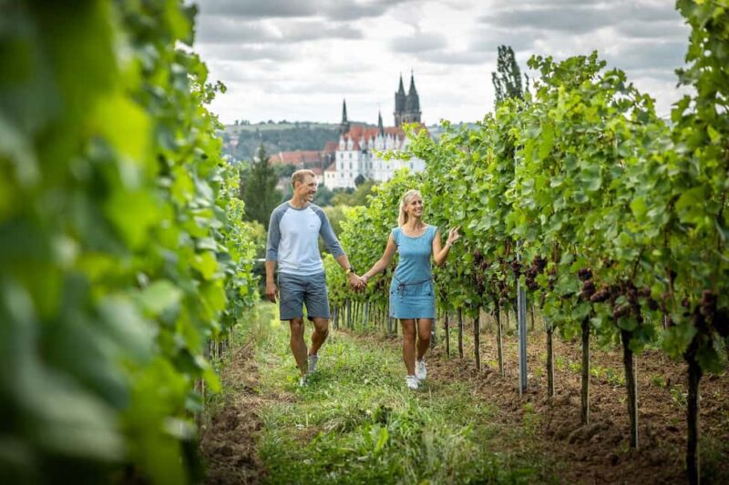 Meißen: Wine hike in the Proschwitzer vineyards including a 3-part wine tasting - The Sum Up: An Enjoyable Taste of Meissens Viticulture