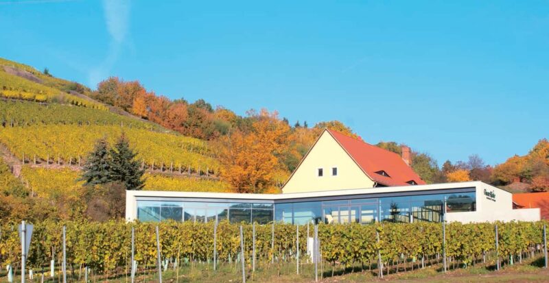 Meissen: Wine hike in the Spaargebirge including 3 wine tastings - Key Points
