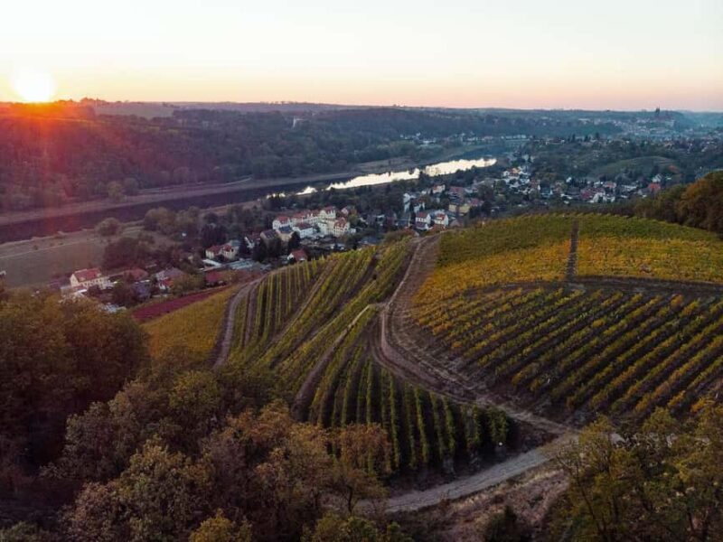 Meissen: Wine hike in the Spaargebirge including 3 wine tastings - The Scenic Route Through the Spaargebirge